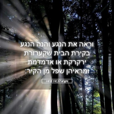 Picture 05 - ויקרא 14:37 HEB - וראה את הנגע והנה הנגע - Bible Verse Picture