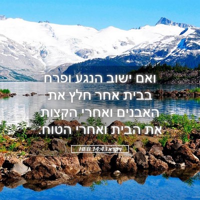 Picture 05 - ויקרא 14:43 HEB - ואם ישוב הנגע ופרח בבית אחר - Bible Verse Picture