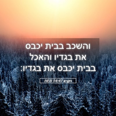 Picture 05 - ויקרא 14:47 HEB - והשכב בבית יכבס את בגדיו - Bible Verse Picture
