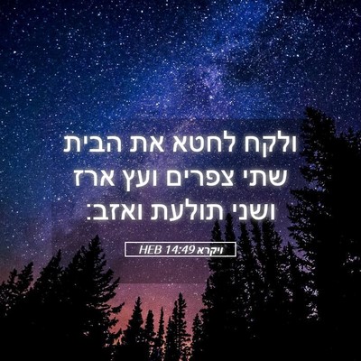 Picture 05 - ויקרא 14:49 HEB - ולקח לחטא את הבית שתי צפרים - Bible Verse Picture
