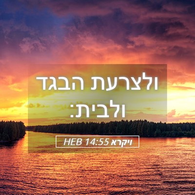 Picture 05 - ויקרא 14:55 HEB - ולצרעת הבגד - Bible Verse Picture