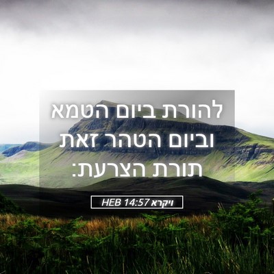 Picture 05 - ויקרא 14:57 HEB - להורת ביום הטמא וביום הטהר - Bible Verse Picture