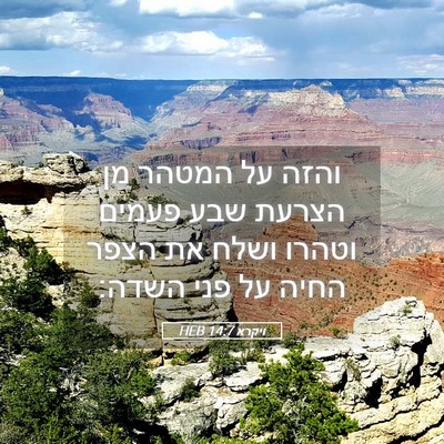 Picture 05 - ויקרא 14:7 HEB - והזה על המטהר מן הצרעת שבע - Bible Verse Picture