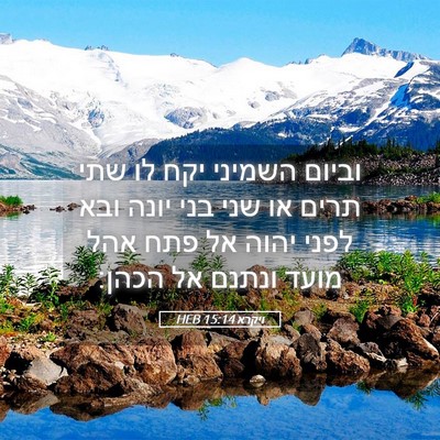 Picture 05 - ויקרא 15:14 HEB - וביום השמיני יקח לו שתי - Bible Verse Picture