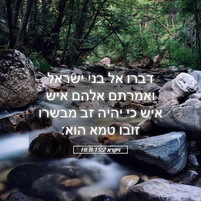 Picture 05 - ויקרא 15:2 HEB - דברו אל בני ישראל ואמרתם - Bible Verse Picture