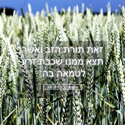 Picture 05 - ויקרא 15:32 HEB - זאת תורת הזב ואשר תצא ממנו - Bible Verse Picture