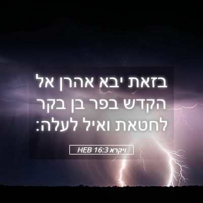 Picture 05 - ויקרא 16:3 HEB - בזאת יבא אהרן אל הקדש בפר - Bible Verse Picture