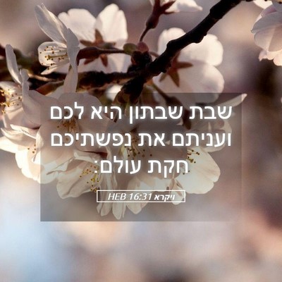 Picture 05 - ויקרא 16:31 HEB - שבת שבתון היא לכם ועניתם את - Bible Verse Picture