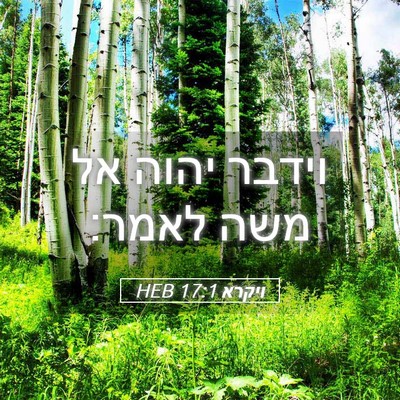 Picture 05 - ויקרא 17:1 HEB - וידבר יהוה אל משה - Bible Verse Picture