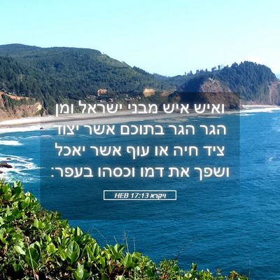 Picture 05 - ויקרא 17:13 HEB - ואיש איש מבני ישראל ומן הגר - Bible Verse Picture