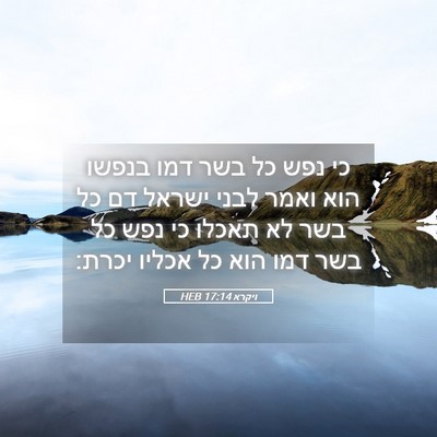 Picture 05 - ויקרא 17:14 HEB - כי נפש כל בשר דמו בנפשו הוא - Bible Verse Picture