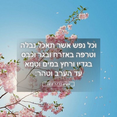 Picture 05 - ויקרא 17:15 HEB - וכל נפש אשר תאכל נבלה וטרפה - Bible Verse Picture