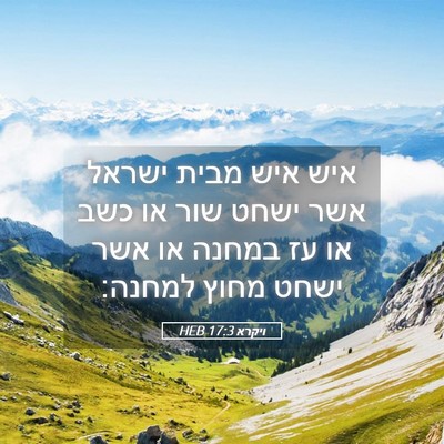 Picture 05 - ויקרא 17:3 HEB - איש איש מבית ישראל אשר ישחט - Bible Verse Picture