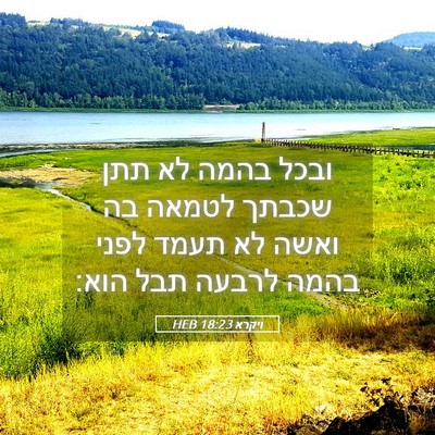 Picture 05 - ויקרא 18:23 HEB - ובכל בהמה לא תתן שכבתך - Bible Verse Picture