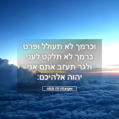 Picture 05 - ויקרא 19:10 HEB - וכרמך לא תעולל ופרט כרמך לא - Bible Verse Picture