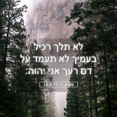 Picture 05 - ויקרא 19:16 HEB - לא תלך רכיל בעמיך לא תעמד - Bible Verse Picture
