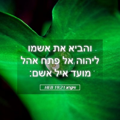 Picture 05 - ויקרא 19:21 HEB - והביא את אשמו ליהוה אל פתח - Bible Verse Picture