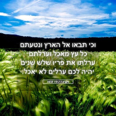 Picture 05 - ויקרא 19:23 HEB - וכי תבאו אל הארץ ונטעתם כל - Bible Verse Picture