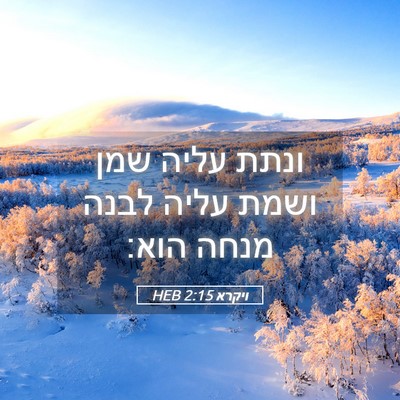 Picture 05 - ויקרא 2:15 HEB - ונתת עליה שמן ושמת עליה - Bible Verse Picture