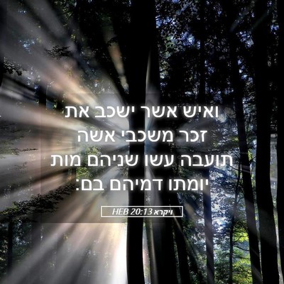 Picture 05 - ויקרא 20:13 HEB - ואיש אשר ישכב את זכר משכבי - Bible Verse Picture