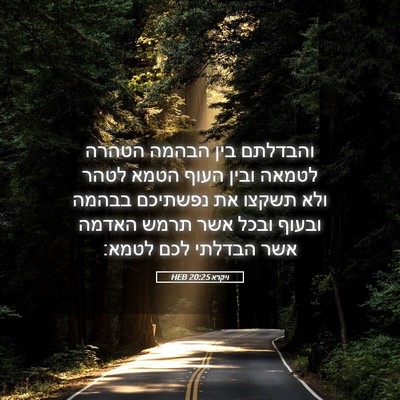 Picture 05 - ויקרא 20:25 HEB - והבדלתם בין הבהמה הטהרה - Bible Verse Picture