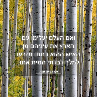 Picture 05 - ויקרא 20:4 HEB - ואם העלם יעלימו עם הארץ את - Bible Verse Picture