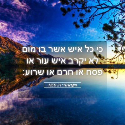 Picture 05 - ויקרא 21:18 HEB - כי כל איש אשר בו מום לא יקרב - Bible Verse Picture