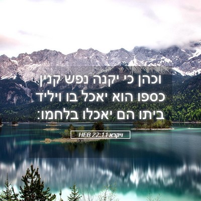 Picture 05 - ויקרא 22:11 HEB - וכהן כי יקנה נפש קנין כספו - Bible Verse Picture