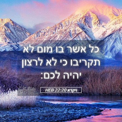 Picture 05 - ויקרא 22:20 HEB - כל אשר בו מום לא תקריבו כי - Bible Verse Picture