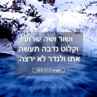 Picture 05 - ויקרא 22:23 HEB - ושור ושה שרוע וקלוט נדבה - Bible Verse Picture