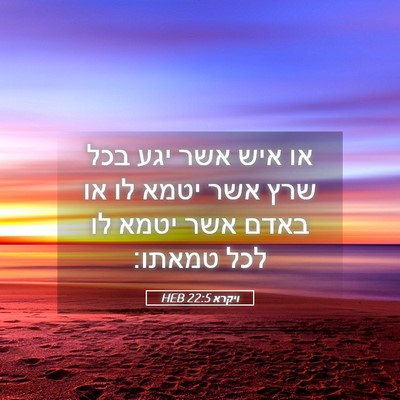 Picture 05 - ויקרא 22:5 HEB - או איש אשר יגע בכל שרץ אשר - Bible Verse Picture