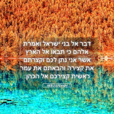 Picture 05 - ויקרא 23:10 HEB - דבר אל בני ישראל ואמרת אלהם - Bible Verse Picture