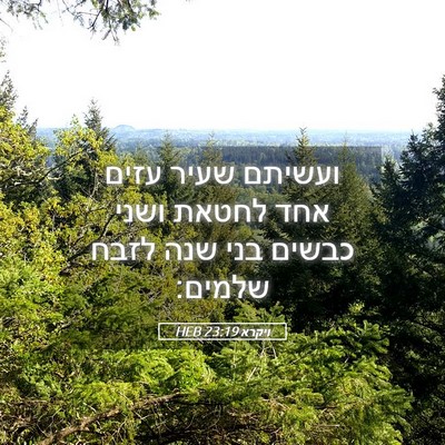 Picture 05 - ויקרא 23:19 HEB - ועשיתם שעיר עזים אחד לחטאת - Bible Verse Picture