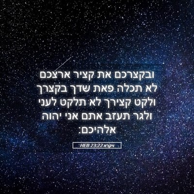 Picture 05 - ויקרא 23:22 HEB - ובקצרכם את קציר ארצכם לא - Bible Verse Picture