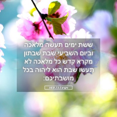 Picture 05 - ויקרא 23:3 HEB - ששת ימים תעשה מלאכה וביום - Bible Verse Picture