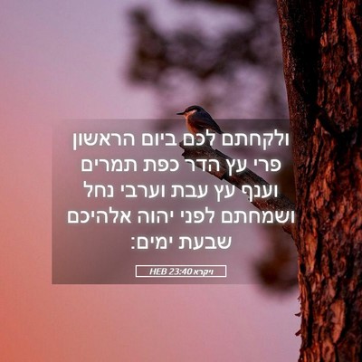 Picture 05 - ויקרא 23:40 HEB - ולקחתם לכם ביום הראשון פרי - Bible Verse Picture