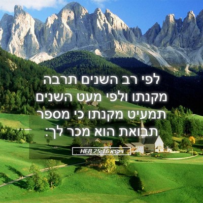 Picture 05 - ויקרא 25:16 HEB - לפי רב השנים תרבה מקנתו - Bible Verse Picture