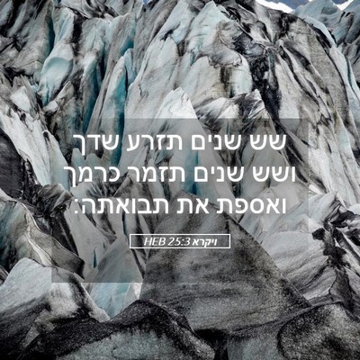 Picture 05 - ויקרא 25:3 HEB - שש שנים תזרע שדך ושש שנים - Bible Verse Picture