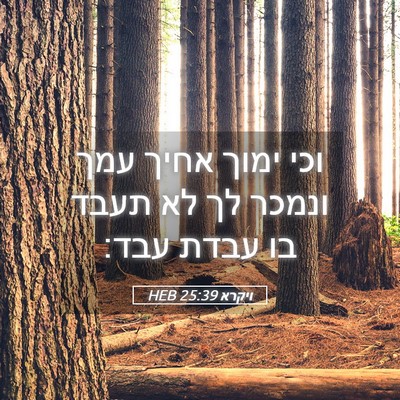 Picture 05 - ויקרא 25:39 HEB - וכי ימוך אחיך עמך ונמכר לך - Bible Verse Picture