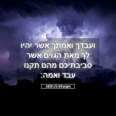 Picture 05 - ויקרא 25:44 HEB - ועבדך ואמתך אשר יהיו לך מאת - Bible Verse Picture