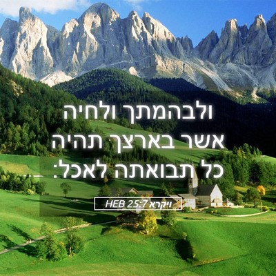 Picture 05 - ויקרא 25:7 HEB - ולבהמתך ולחיה אשר בארצך - Bible Verse Picture
