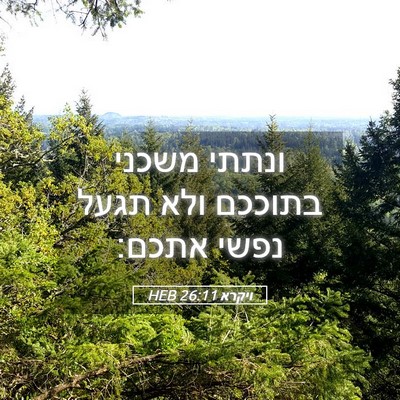 Picture 05 - ויקרא 26:11 HEB - ונתתי משכני בתוככם ולא - Bible Verse Picture