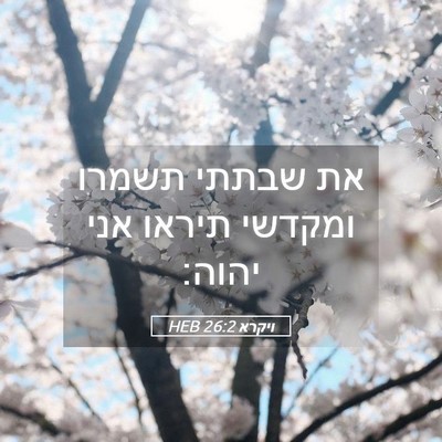 Picture 05 - ויקרא 26:2 HEB - את שבתתי תשמרו ומקדשי - Bible Verse Picture