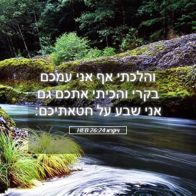 Picture 05 - ויקרא 26:24 HEB - והלכתי אף אני עמכם בקרי - Bible Verse Picture