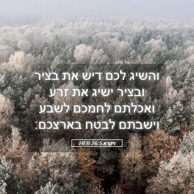 Picture 05 - ויקרא 26:5 HEB - והשיג לכם דיש את בציר ובציר - Bible Verse Picture