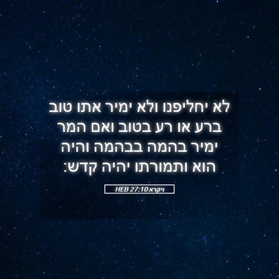 Picture 05 - ויקרא 27:10 HEB - לא יחליפנו ולא ימיר אתו טוב - Bible Verse Picture