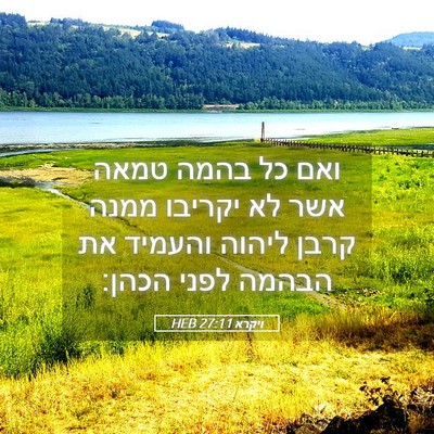 Picture 05 - ויקרא 27:11 HEB - ואם כל בהמה טמאה אשר לא - Bible Verse Picture