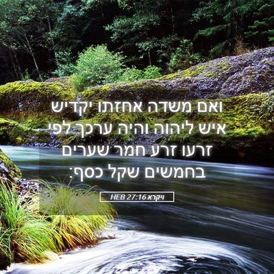 Picture 05 - ויקרא 27:16 HEB - ואם משדה אחזתו יקדיש איש - Bible Verse Picture