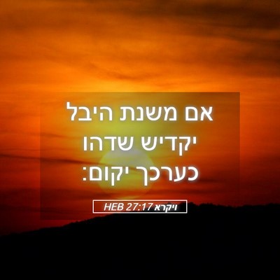 Picture 05 - ויקרא 27:17 HEB - אם משנת היבל יקדיש שדהו - Bible Verse Picture