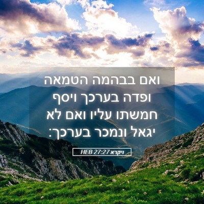 Picture 05 - ויקרא 27:27 HEB - ואם בבהמה הטמאה ופדה בערכך - Bible Verse Picture